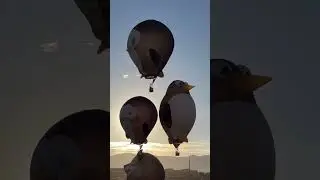 Penguin Special Shapes at Balloon Fiesta 2023