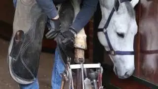 Sectolin Equivital Biotine