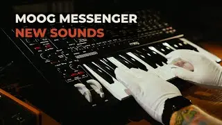 Moog Messenger Presets &ndash; Sound Demo | Modern Analog Synth Patches