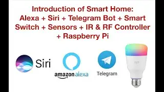 Умный дом: Alexa + Siri + Telegram Bot + Умный выключатель + Датчики + ИК- и РЧ-контроллер + Raspberry Pi