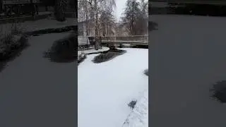 Snowfall in France 2026 หิมะตกในฤดูหนาวฝรั่งเศส #ฝรั่งเศส #snowfall #หิมะตก #ฤดูหนาว #winter #france