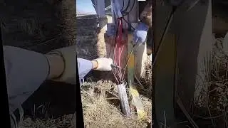 CRAZY HIGH VOLTAGE ON SMALL WIRES. #oddlysatisfying #electricallife