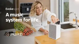 Компактная музыкальная система Pure Evoke Spot