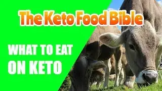 Keto Food Bible. The Ultimate Keto Diet Food List. A Guide to What Can You Eat on the Keto Diet