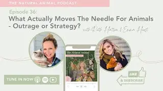 What Actually Moves The Needle For Animals &mdash; Outrage or Strategy? #36