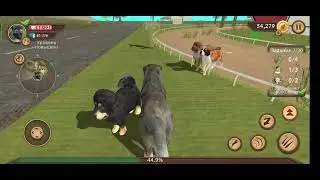 УРА ВСЕ ПОРОДЫ В Dog sim!!!!!:) (ЧИТ.ОП. СРОЧНО!!!!! ПЕРЕД ПРОСМОТРОМ!!!!)