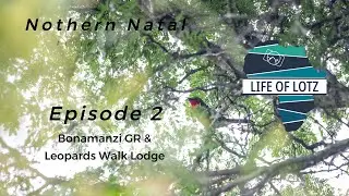 Northern Kwazulu-Natal - Dec 2023 - Episode 2: Bonamanzi GR & Leopard Walk Lodge