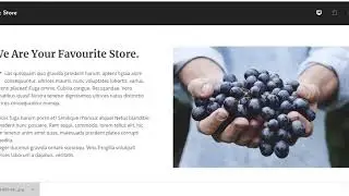 WebRealEstate.Biz Template Walkthrough
