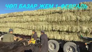 Жем чөп саман буудай арпа беде жугору сокулук мал базары 