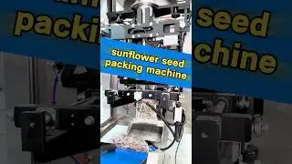 sunflower seeds packing machine for 650g,sunflower seed VFFS pouch packaging machine#sunflowerseed