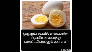 interesting facts / daily facts / facts in tamil