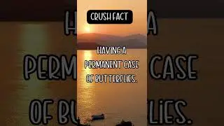 Crush Facts That Will Amaze You!  #crushfacts  #connectiontips
