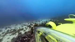 FlFISH V6  com insta360 3x.