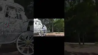 Popular Cinderella pumpkin carriage ride#wedding carriage#royal pumpkin coach#horse