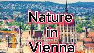 Nature in Vienna - Vienna, Austria in 4K ULTRA HD 60FPS Video by Drone