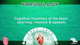 Revision of L12: Cognitive function of the brain (memory, learning and speech); Physiology 
