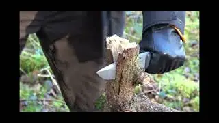 TRC Apocalypse VS very knotty wood