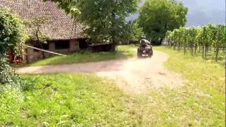 Hoametfescht