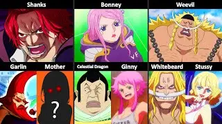 Every OnePiece Characters And Their Parents