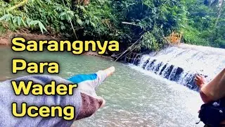Mancing wader uceng//Mbah Omi Fishing