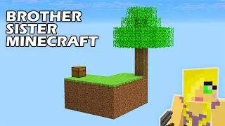 Brother Sister Minecraft in Skyblock!