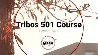 Triobos501 Course Gebdi Dental