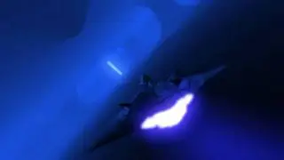 Oblig 02 - Noroff 2008/2009 - 3D Design & Animation - Ride Film - Paragon