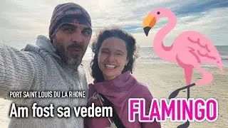 Am fost sa vedem FLAMINGO | Cu AUTORULOTA in Europa - Episodul 8
