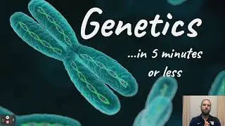 5 min Biology: GENETICS