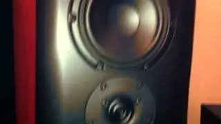 The Phenominal Krix Neuphonix Loudspeaker