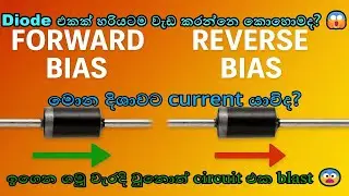 Forward Bias vs Reverse Bias  | Diode එකෙන් Current ගලා යනවද? | Sinhala Electronics | Diode Tutorial