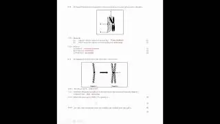 GR12 Lewenswetenskappe Eksamen Hersiening MEIOSE DEEL3
