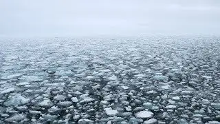 It's Arctic Sea Ice Day!