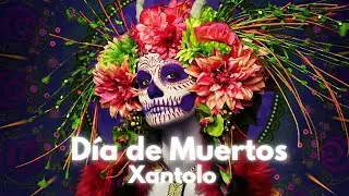 ДЕНЬ МЕРТВЫХ | XANTOLO В HUASTECA POTOSINA