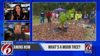 Learn about moon trees on Take 6