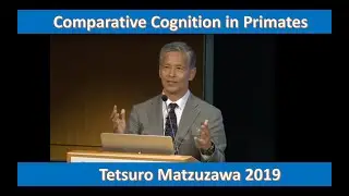 Comparative Cognition in Primates