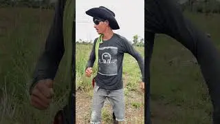 11 de junho de 2025