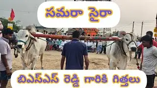 మొర్జంపాడు 6పళ్ళు | 5జత (సైరా-సమర) బీరం బుల్స్ బీరం సుబ్రహ్మణేశ్వర్ రెడ్డి గారు S.కొత్తూరు