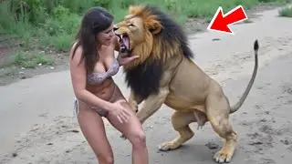 SHOCKING SAFARI MOMENTS CAUGHT ON CAMERA | YOU&rsquo;VE NEVER SEEN THIS BEFORE!