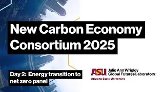 Day 2: Energy transition to net zero panel
