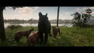 Legendary Animal Wild County