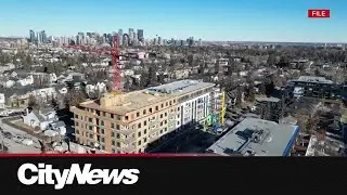Calgary councillors and mayor begin process to repeal blanket rezoning bylaw