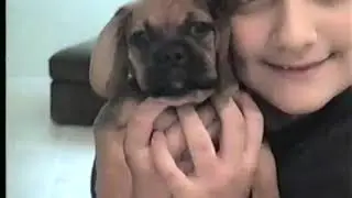 Home Movies of Jack the Puggle