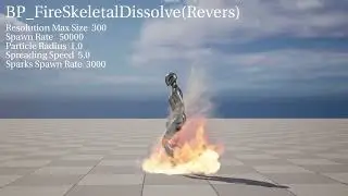 FireMesh sample03(SkeletalMesh)