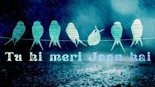Tu hi meri Jaan hai 2.0 song