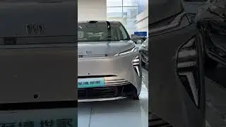 Chinese luxury business vehicles - All New 2026 Buick Electra Zhijing Luxury MPV