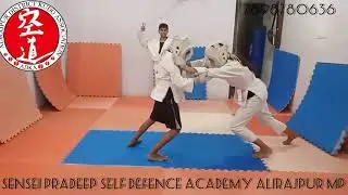 Kudo fight practice