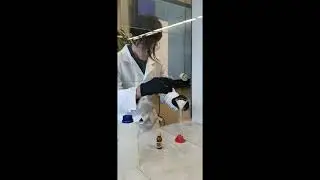 Иодид азота NI3