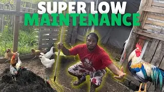 CLEANING THE CHICKEN COOP: Using The Deep Litter Method