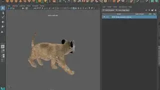 TUTORIAL - xGEN FOLLOW ABC MESH